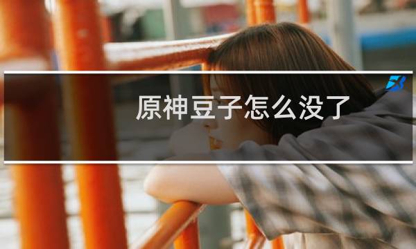 原神豆子怎么没了
