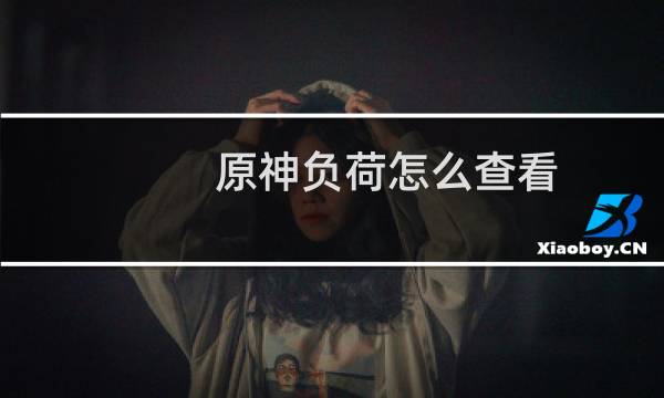 原神负荷怎么查看