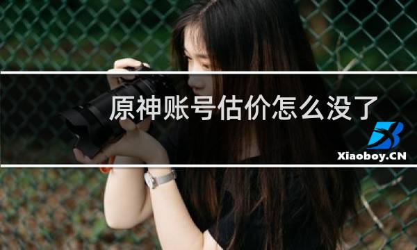 原神账号估价怎么没了