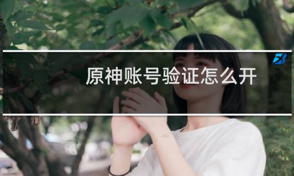 原神账号验证怎么开