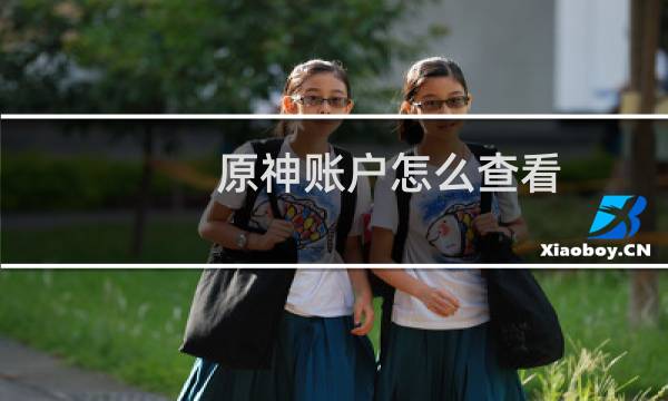 原神账户怎么查看