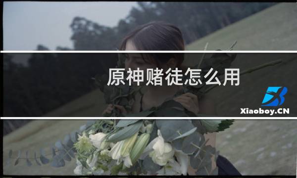 原神赌徒怎么用