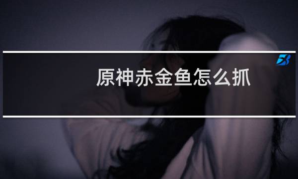 原神赤金鱼怎么抓