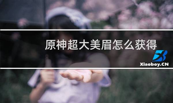 原神超大美眉怎么获得