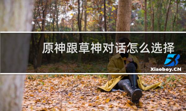 原神跟草神对话怎么选择
