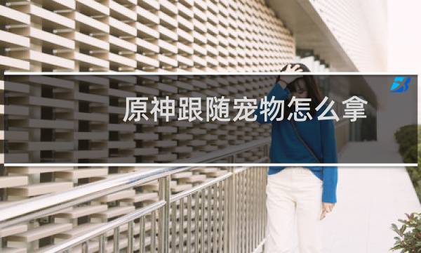 原神跟随宠物怎么拿