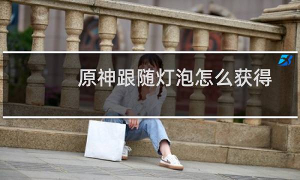 原神跟随灯泡怎么获得