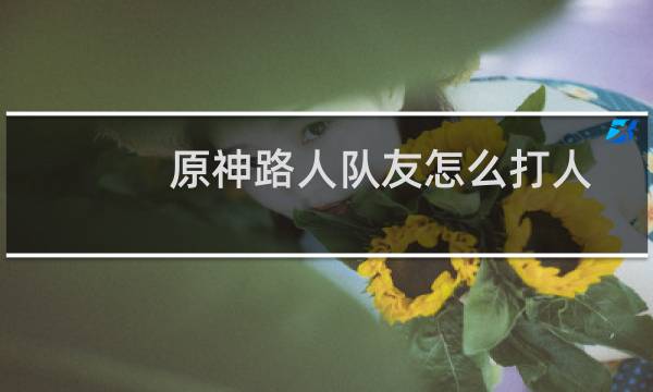 原神路人队友怎么打人