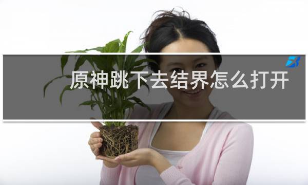 原神跳下去结界怎么打开