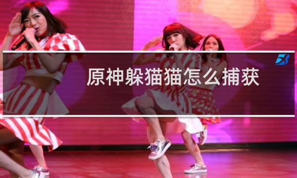 原神躲猫猫怎么捕获