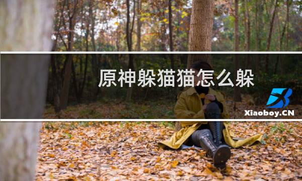 原神躲猫猫怎么躲