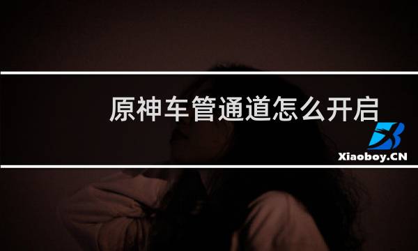 原神车管通道怎么开启