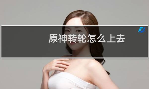 原神转轮怎么上去