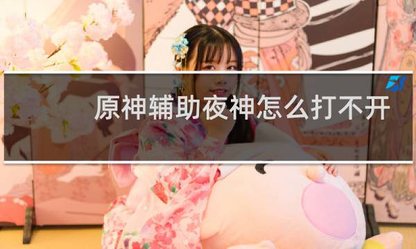 原神辅助夜神怎么打不开