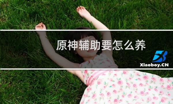 原神辅助要怎么养