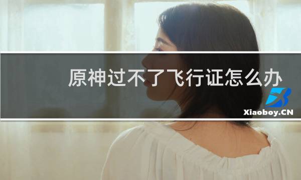 原神过不了飞行证怎么办