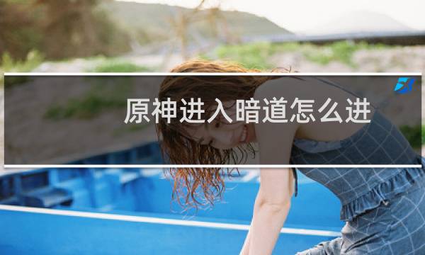 原神进入暗道怎么进