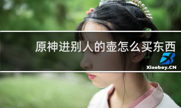 原神进别人的壶怎么买东西