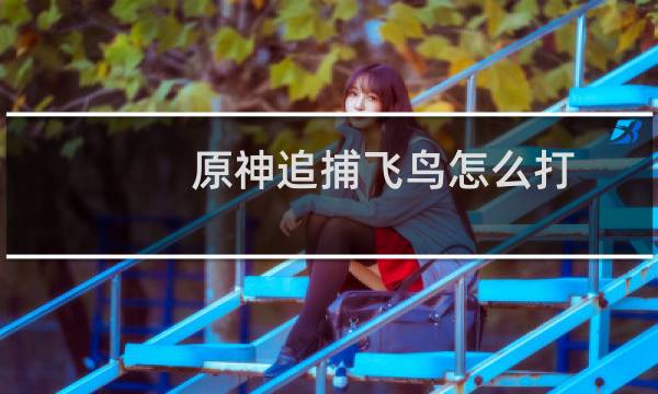 原神追捕飞鸟怎么打