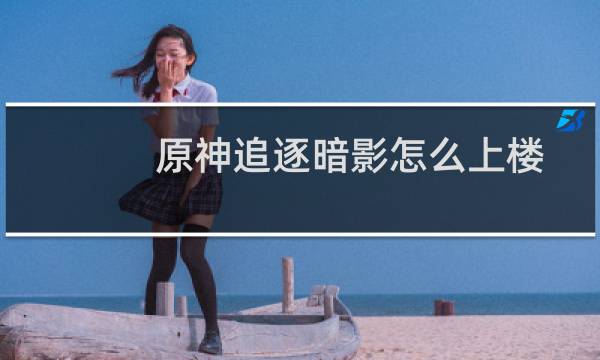 原神追逐暗影怎么上楼