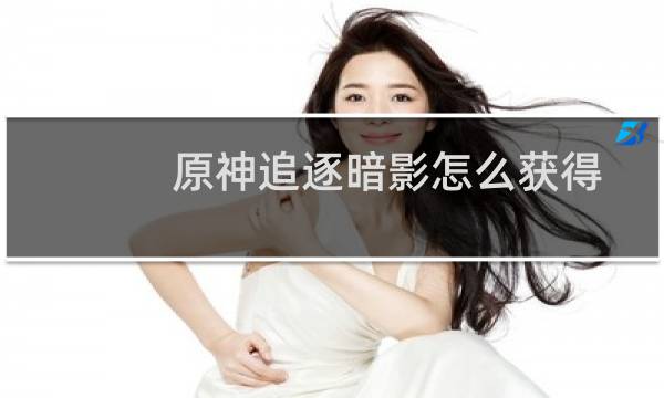 原神追逐暗影怎么获得