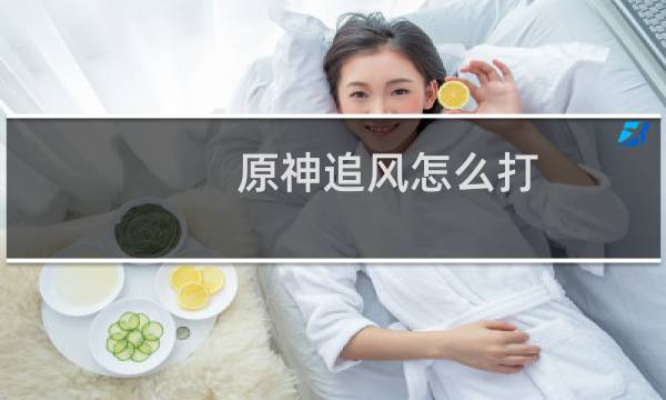 原神追风怎么打