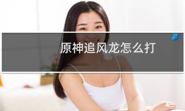 原神追风龙怎么打