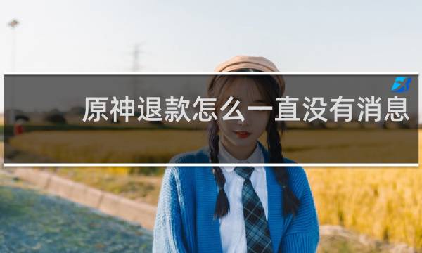 原神退款怎么一直没有消息