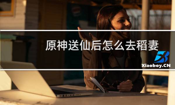 原神送仙后怎么去稻妻