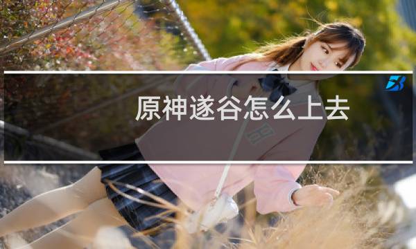 原神遂谷怎么上去