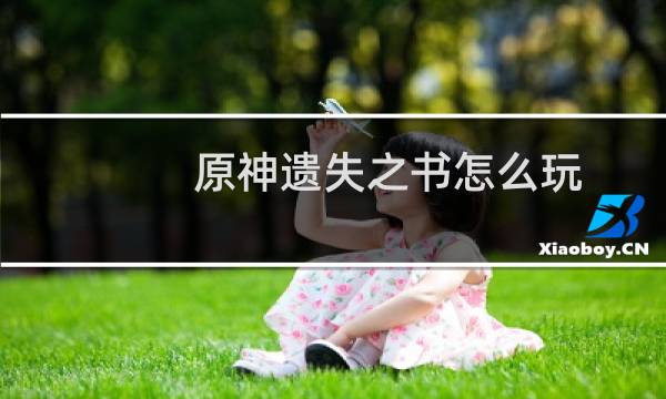 原神遗失之书怎么玩