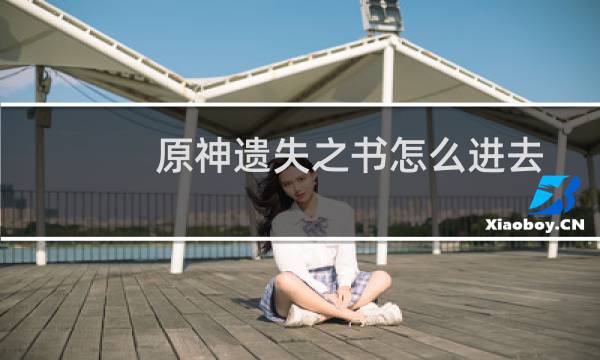 原神遗失之书怎么进去