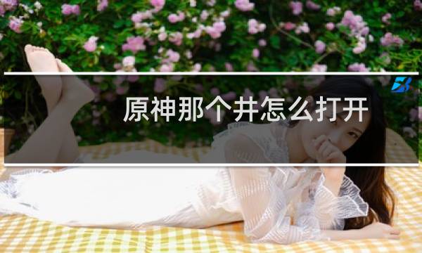 原神那个井怎么打开