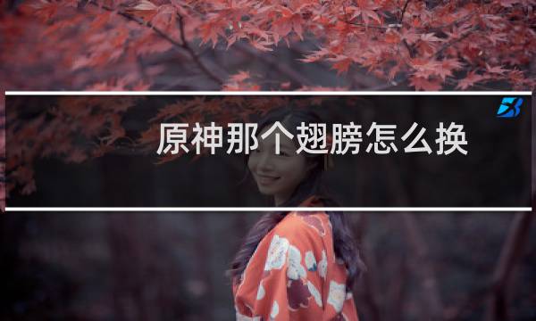 原神那个翅膀怎么换