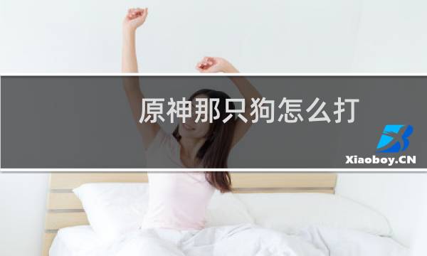 原神那只狗怎么打