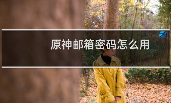 原神邮箱密码怎么用