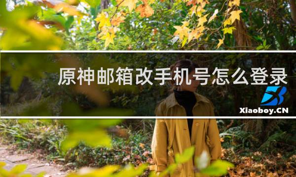 原神邮箱改手机号怎么登录