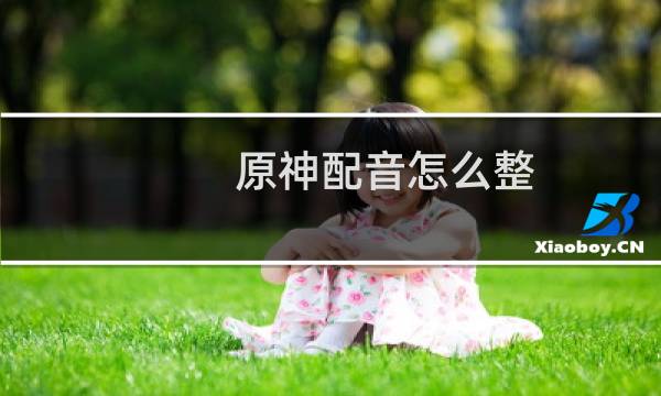 原神配音怎么整
