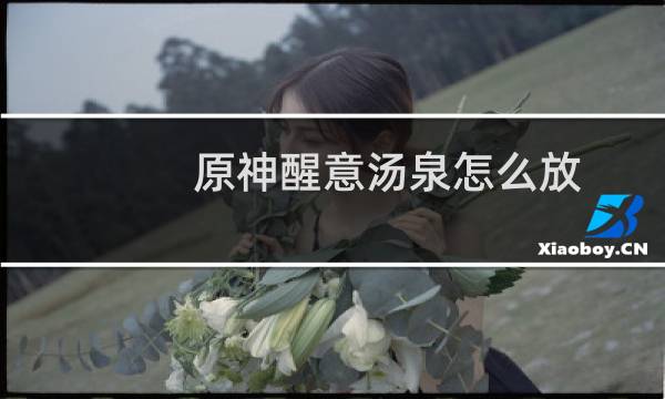 原神醒意汤泉怎么放