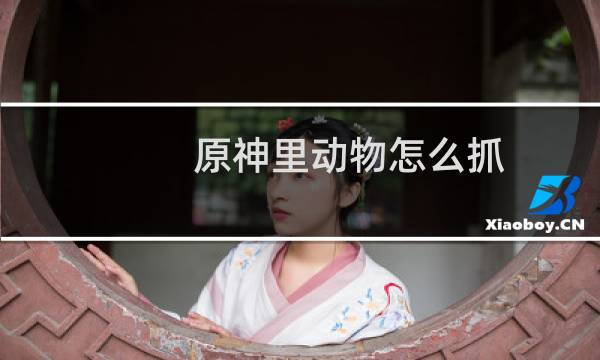 原神里动物怎么抓