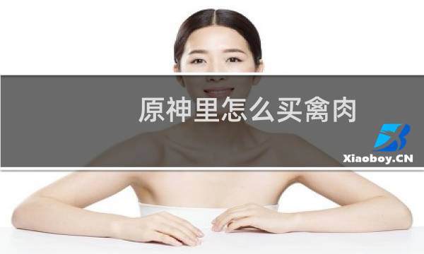 原神里怎么买禽肉