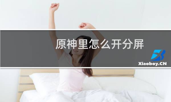 原神里怎么开分屏