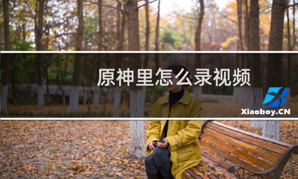 原神里怎么录视频