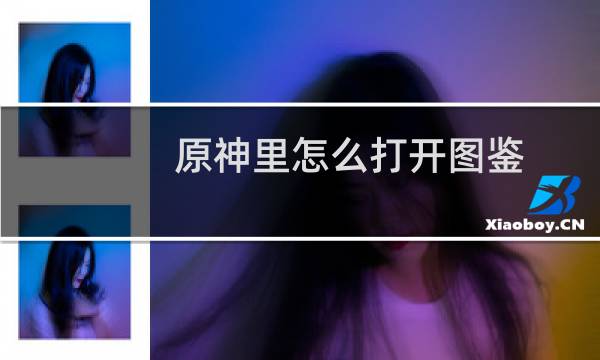 原神里怎么打开图鉴