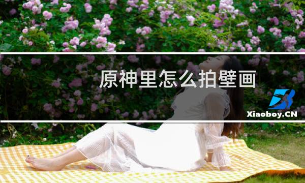 原神里怎么拍壁画
