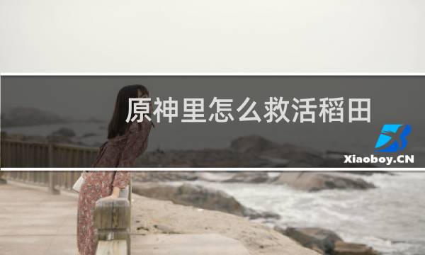 原神里怎么救活稻田