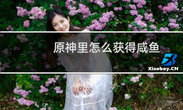 原神里怎么获得咸鱼