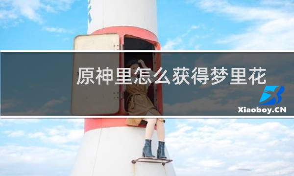 原神里怎么获得梦里花