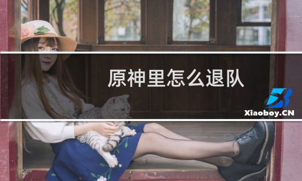 原神里怎么退队