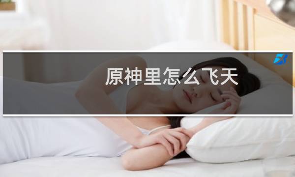 原神里怎么飞天